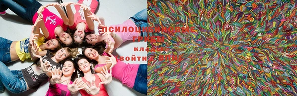 марки lsd Гусев