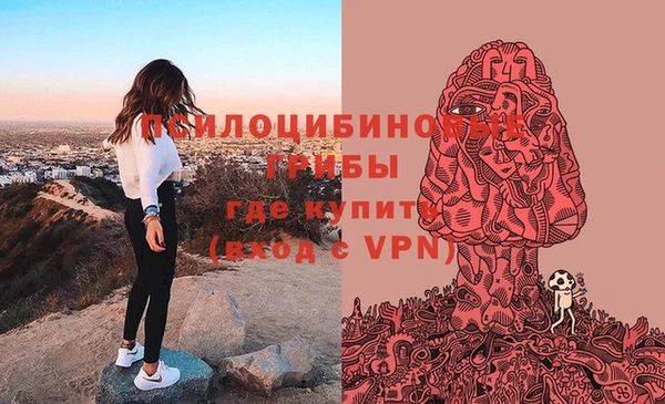 марки lsd Гусев