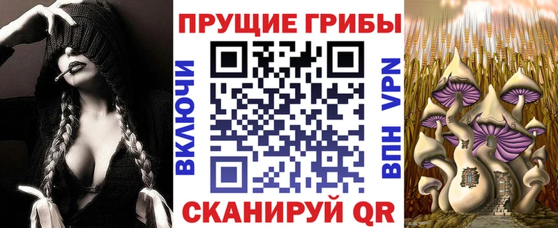 закладка  Томари  Галлюциногенные грибы мицелий 